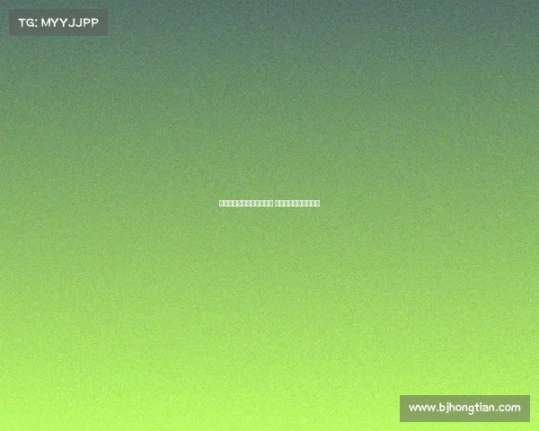 哈弗茨与哲凯赖什竞争激烈 各自提供不同战术选择 哈弗茨与哲凯赖什竞争激烈 各自提供不同战术选择