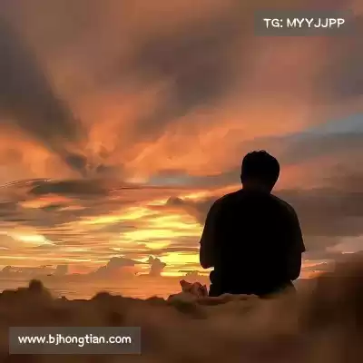 沈廷衡